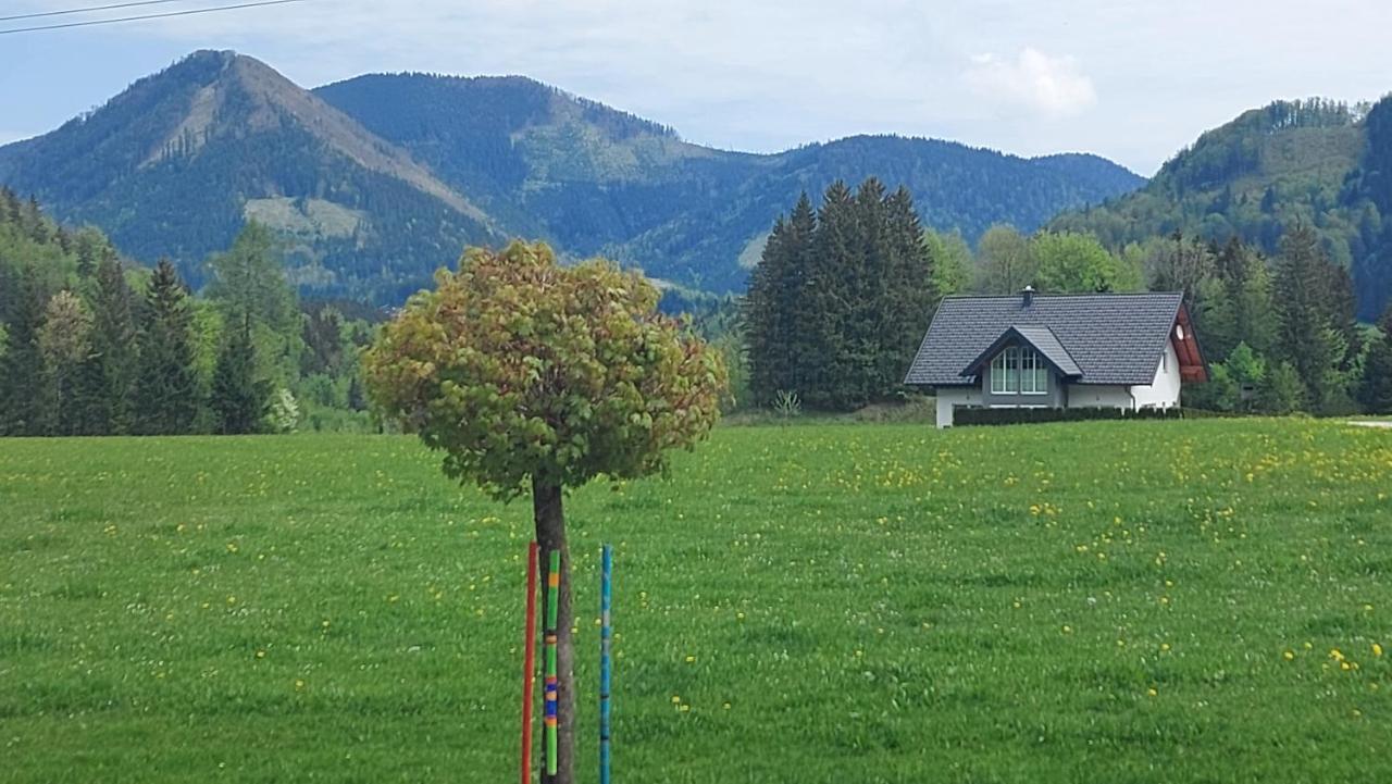 Ferienwohnung Seeberg Mit Almfeeling Файстенау Екстериор снимка